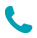 Phone Icon